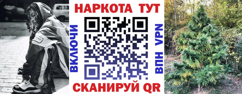 Псилоцибиновые грибы Коркино