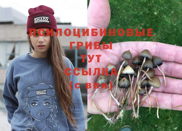 спиды Алексин